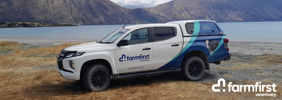 Large Animal Veterinarian - Ashburton