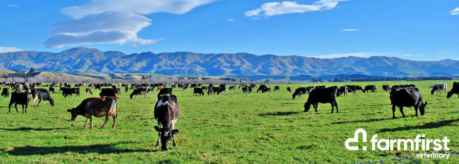Experienced Large Animal (Dairy) Veterinarian - Waipa