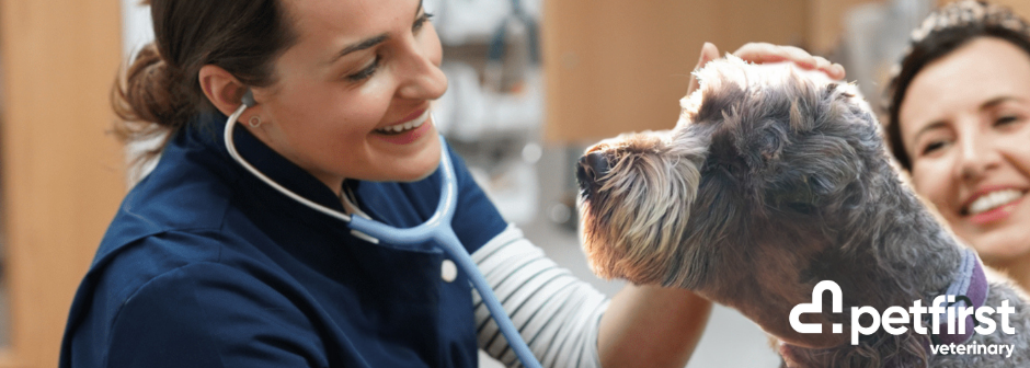 Veterinary Nurse - Cromwell