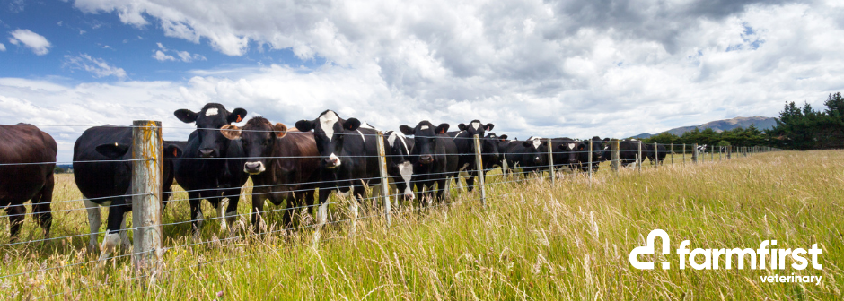 Large Animal Veterinary Technician - Otorohanga - Full Time