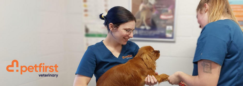 Veterinary Nurse - Alexandra