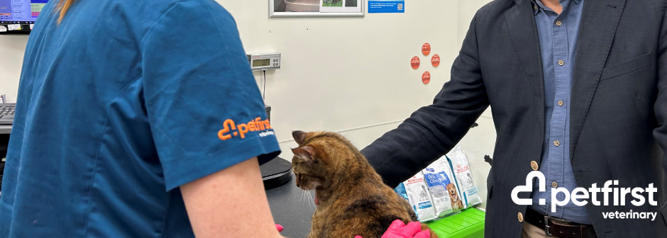 Veterinary Nurse - Turangi