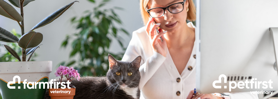 Customer Care / Receptionist – Darfield (Fixed Term)